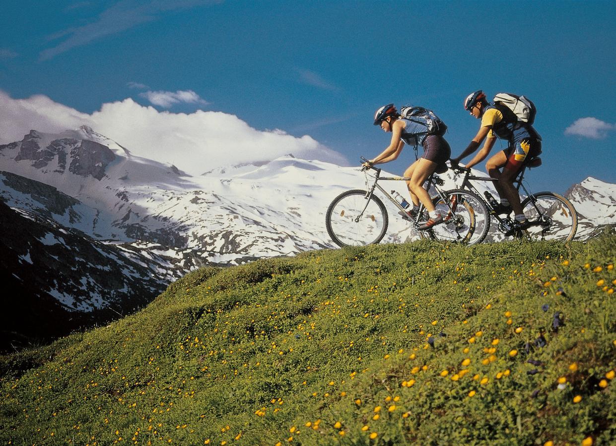 Mountainview Lodge - Chalet Im Zillertal Direkt Am 5 Sterne Campingplatz Aufenfeld Mit Hallenbad Und Sauna Aschau Im Zillertal Eksteriør bilde